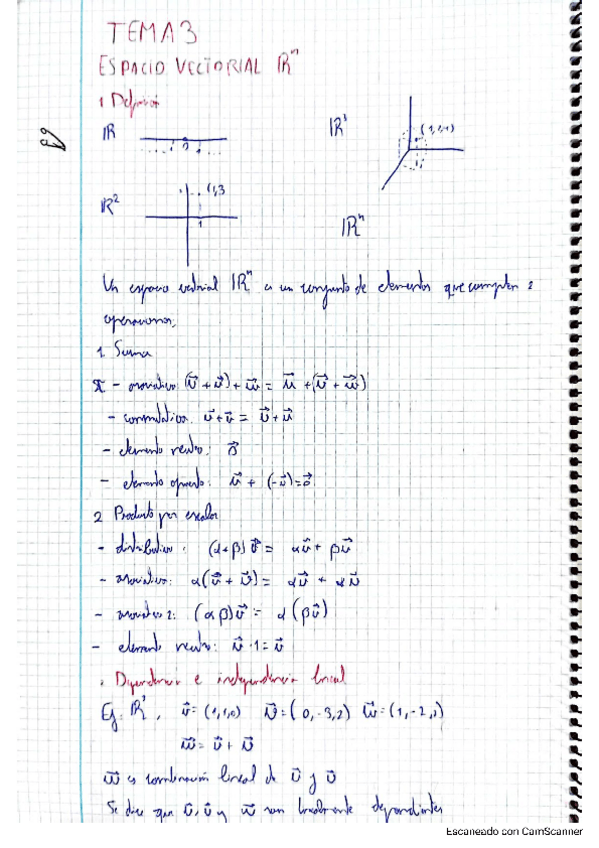 Miniatura del documento Apuntes-Tema-3-Algebra-y-Geometria.pdf