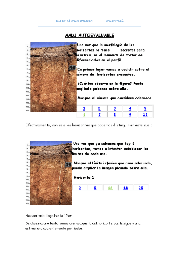 Miniatura del documento Práctica 4 (AAD 1).pdf