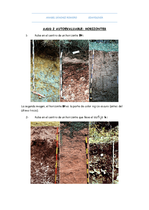 Miniatura del documento TEST TIPO 4 (AAD 2).pdf