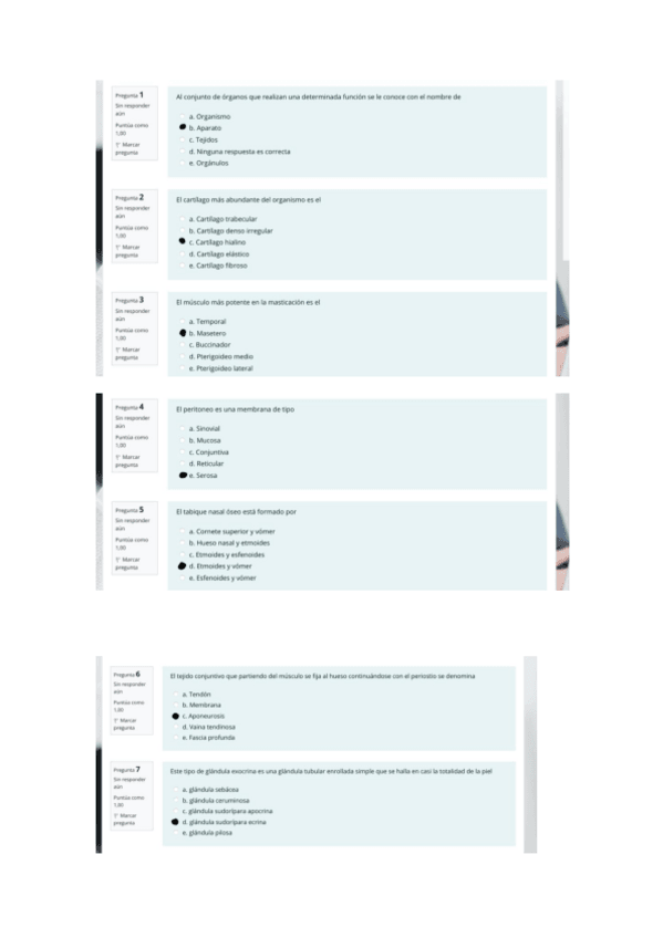 Miniatura del documento ANATO-PREGUNTAS-ENERO.pdf