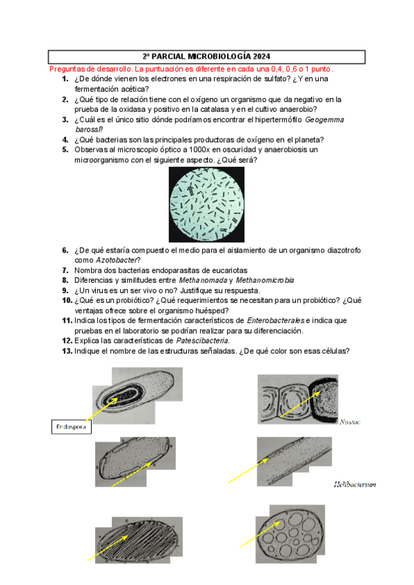 Miniatura del documento 2o-PARCIAL-MICROBIOLOGIA-2024.pdf