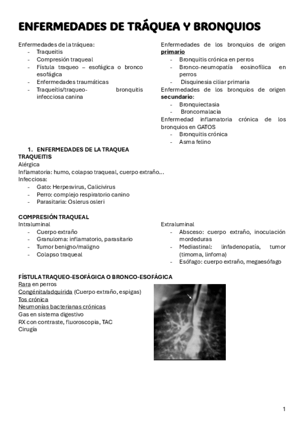 Miniatura del documento Medicas-PA.-Segundo-cuatri.pdf