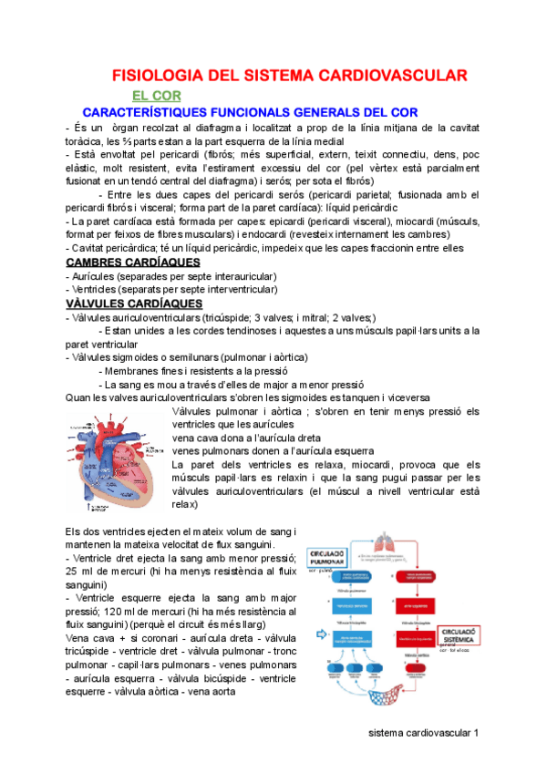 Miniatura del documento Cardiovascular.pdf