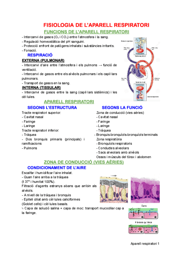 Miniatura del documento Respiratori.pdf