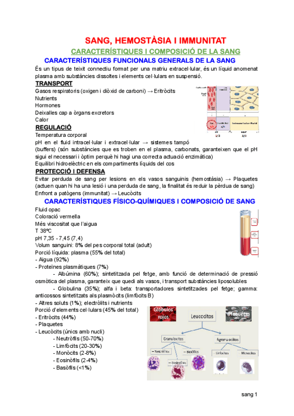 Miniatura del documento Sang.pdf