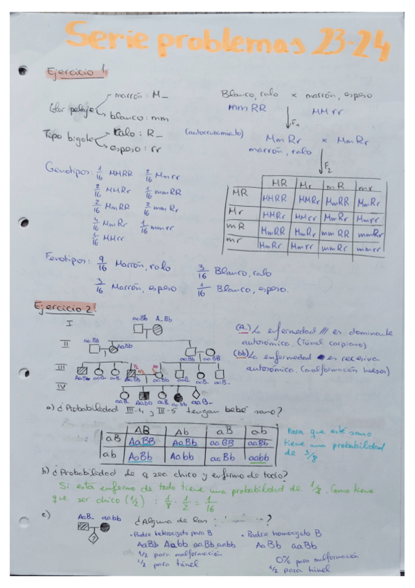 Miniatura del documento Serie-de-problemas-23-24.pdf