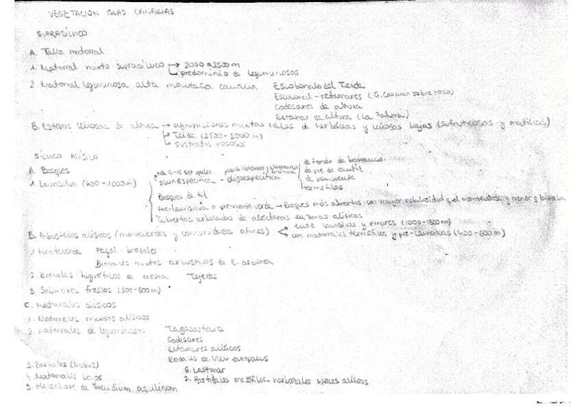 Miniatura del documento Resumen CANARIAS.pdf