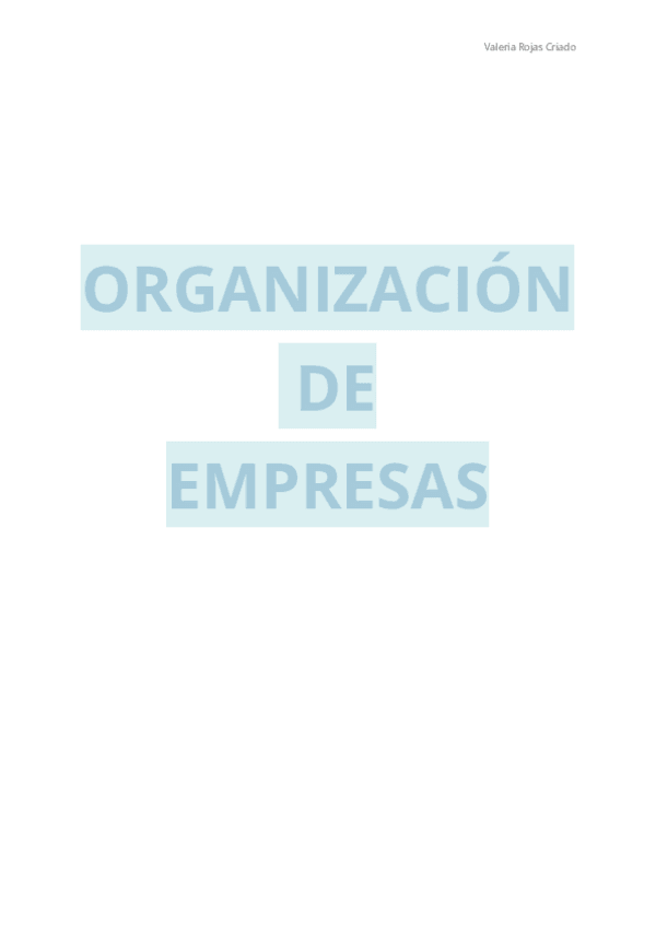 Miniatura del documento Apuntes-Organizacion-de-Empresas.pdf