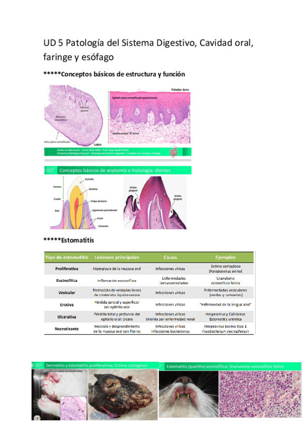 Miniatura del documento UD5.pdf