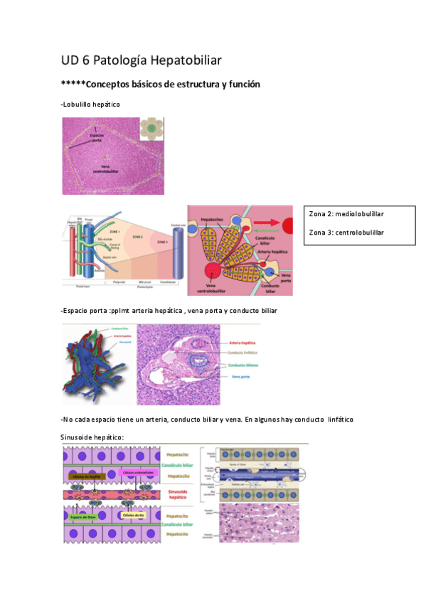 Miniatura del documento UD6.pdf