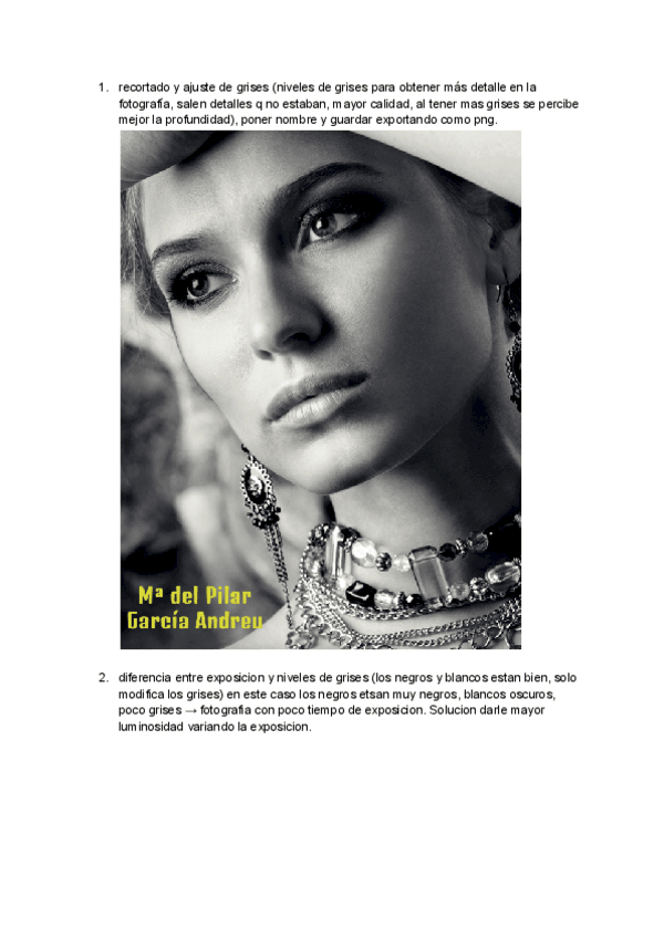 Miniatura del documento Plastica-tarea-1-retoque-fotografico.pdf