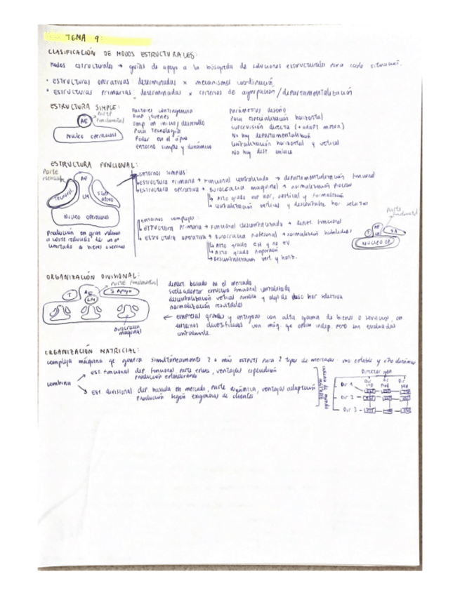 Miniatura del documento Estructuras-tema-9-falta-la-organizacion-en-red.pdf