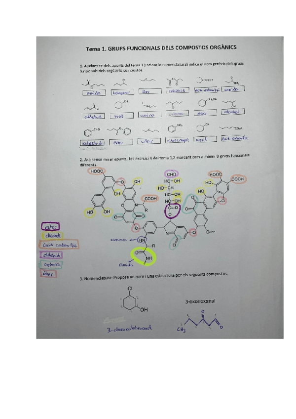 Miniatura del documento Exercici-de-repas-Tema-01.pdf