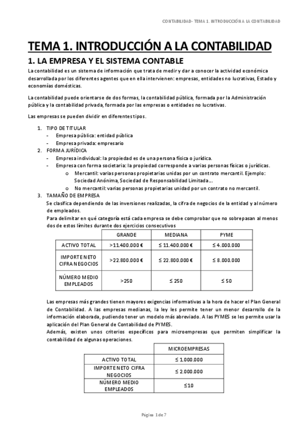 Miniatura del documento TEMA-1.-INTRODUCCION-A-LA-CONTABILIDAD.pdf