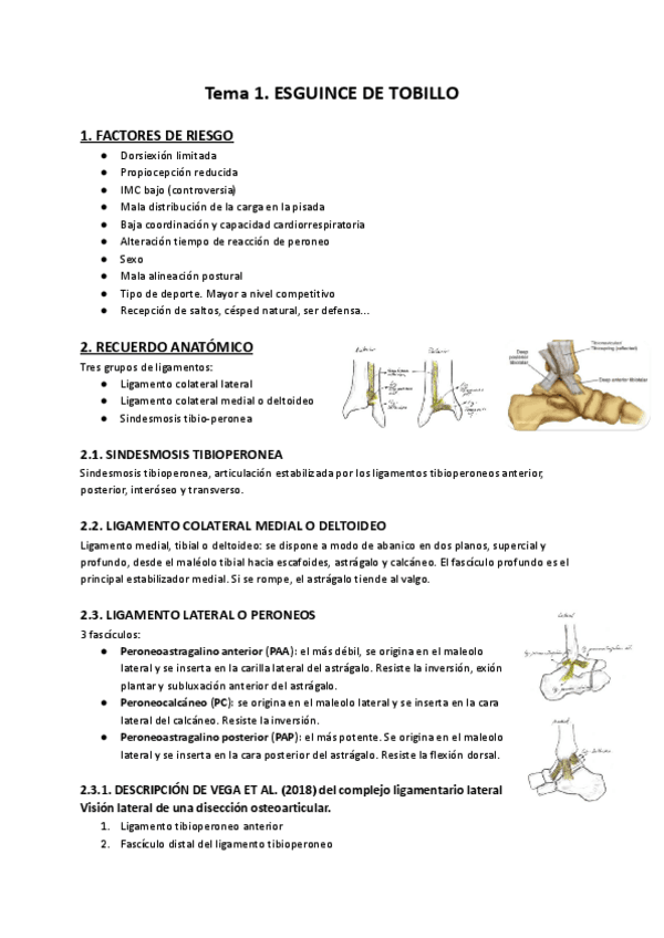 Miniatura del documento Tema-1.-S.pdf