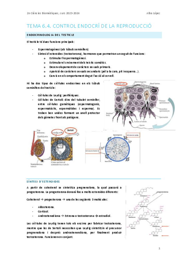 Miniatura del documento Tema-6.4.-Control-endocri-de-la-reproduccio.pdf