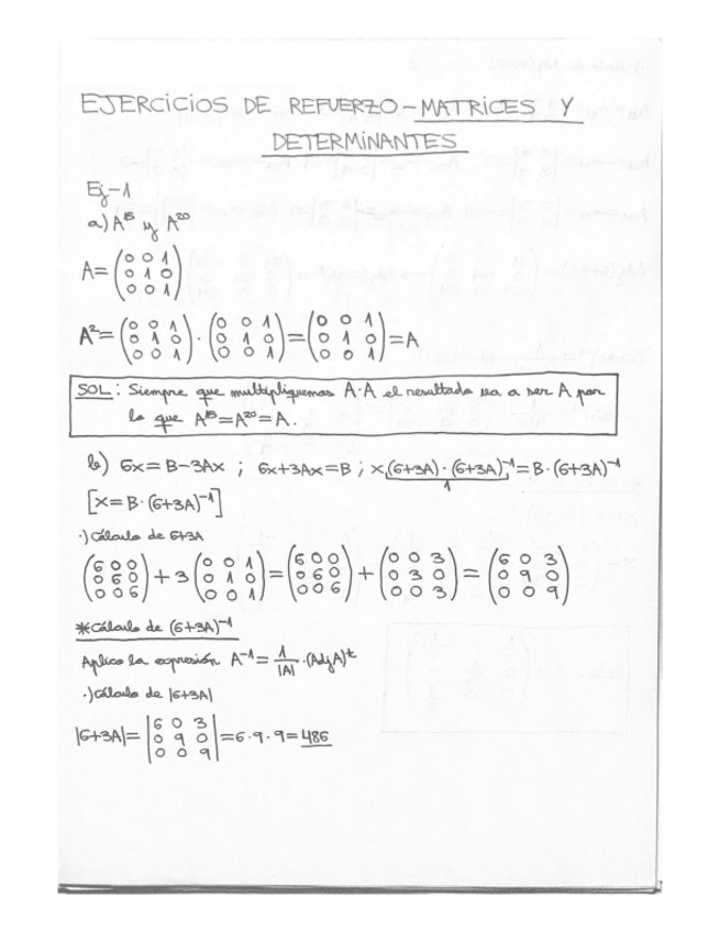 Miniatura del documento EJERCICIOS-EBAU-MATRICES-Y-DETERMINANTES.pdf