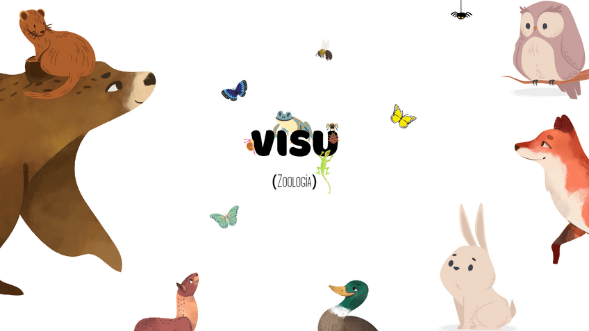 Miniatura del documento VISU-zoologia.pdf