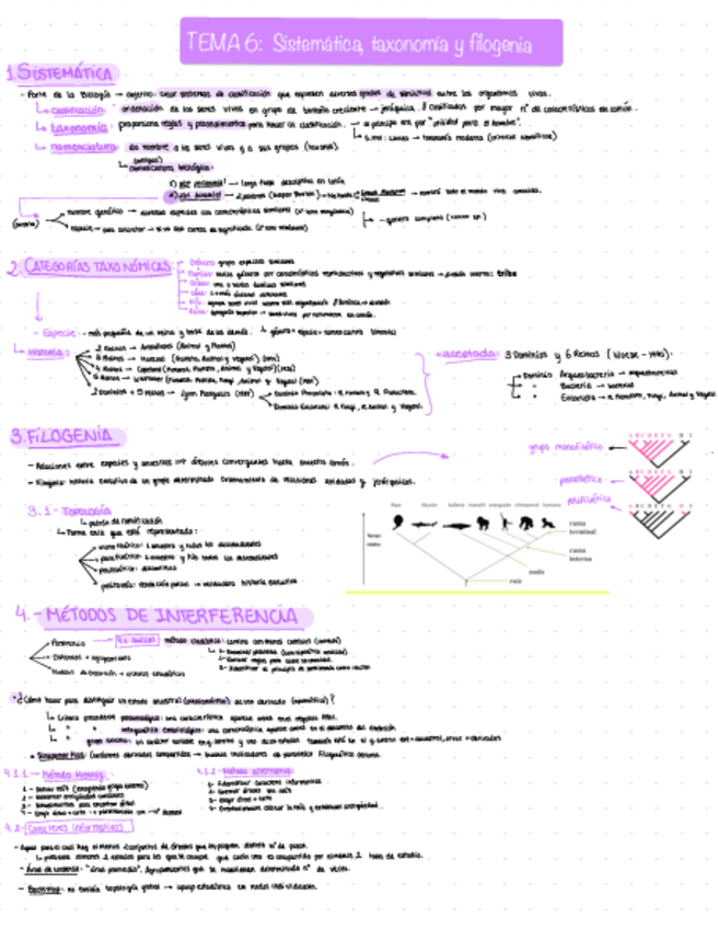 Miniatura del documento Tema-6,7,8,9_Evolución y Biodiversidad.pdf