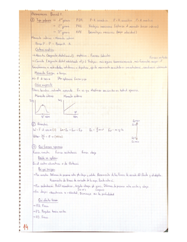 Miniatura del documento Esquema-teoria-Biomecanica.pdf