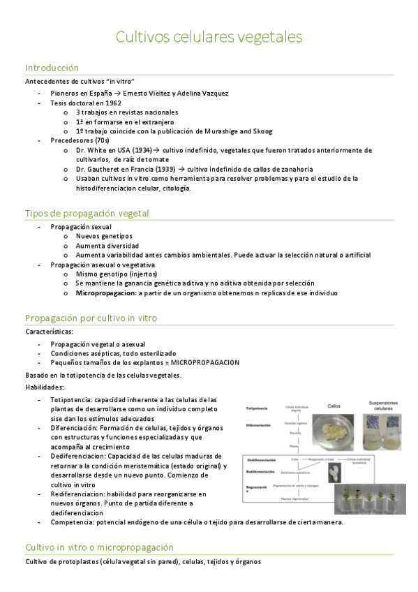 Miniatura del documento Apuntes-parte-de-plantas.pdf