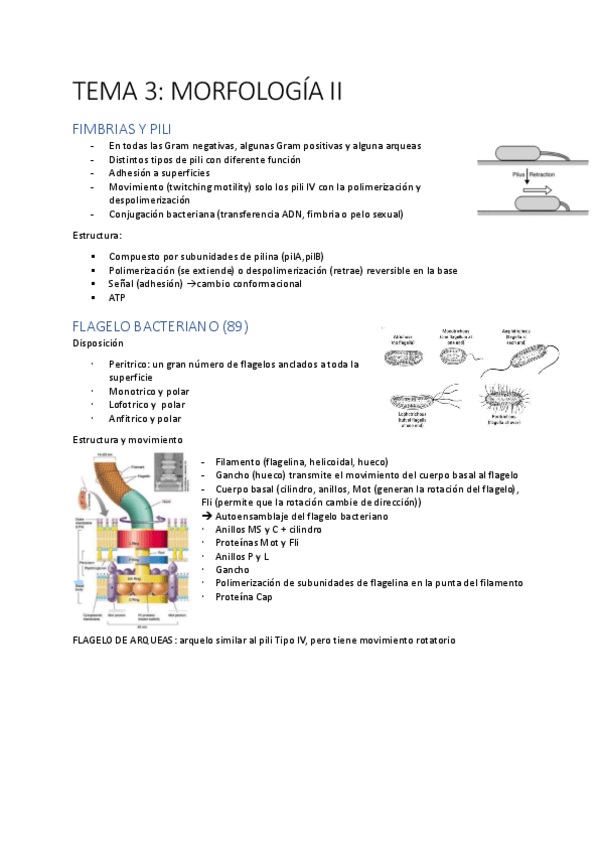 Miniatura del documento TEMA-3.pdf