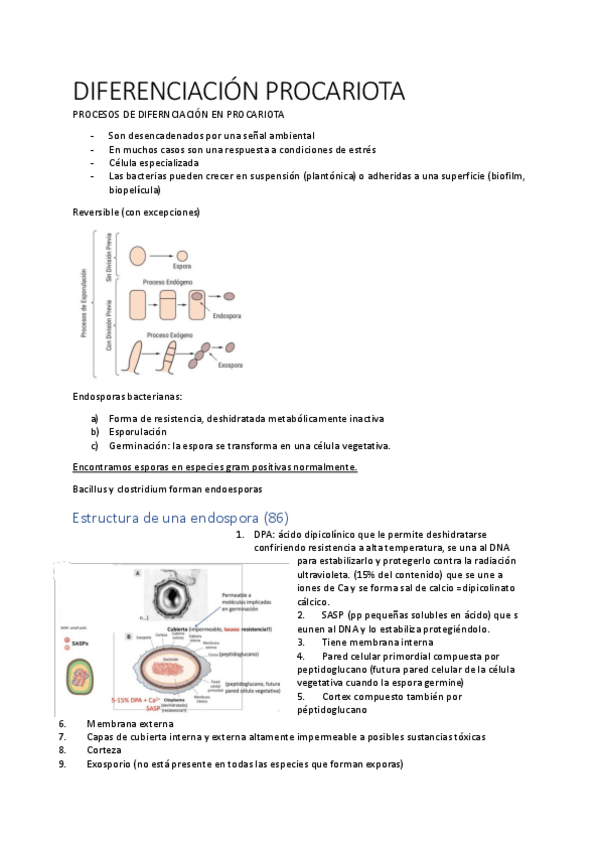 Miniatura del documento TEMA-4.pdf