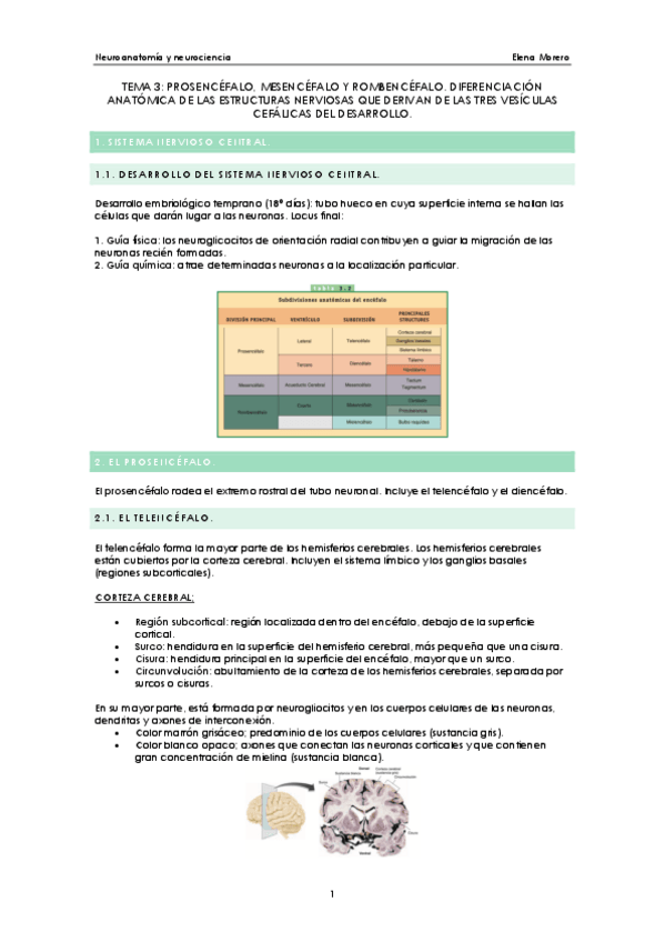 Miniatura del documento tema-3-neuro.pdf