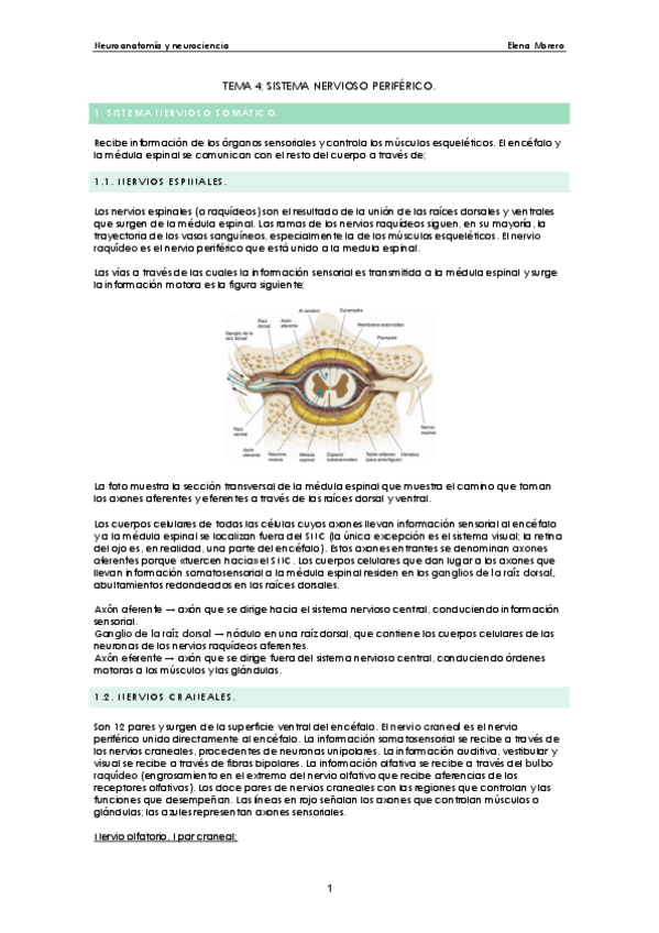 Miniatura del documento tema-4-neuro.pdf