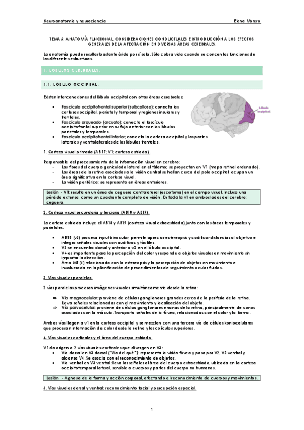 Miniatura del documento tema-5-neuro.pdf