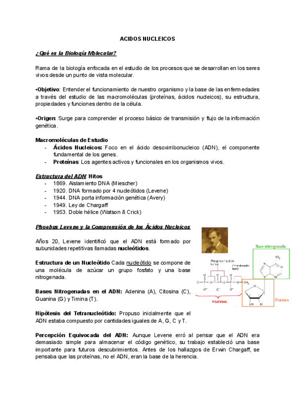 Miniatura del documento ACIDOS-NUCLEICOS.pdf