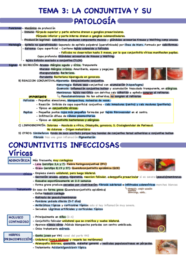 Miniatura del documento Tema-3.pdf