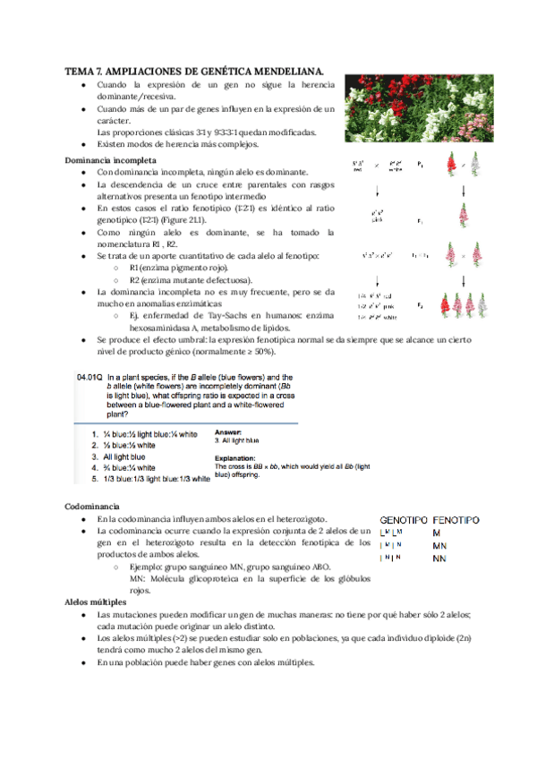 Miniatura del documento 7-AMPLIACIONES-DE-GENETICA-MENDELIANA.pdf