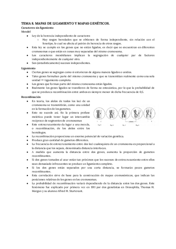Miniatura del documento 8-MAPAS-DE-LIGAMIENTO-Y-MAPAS-GENETICOS.pdf