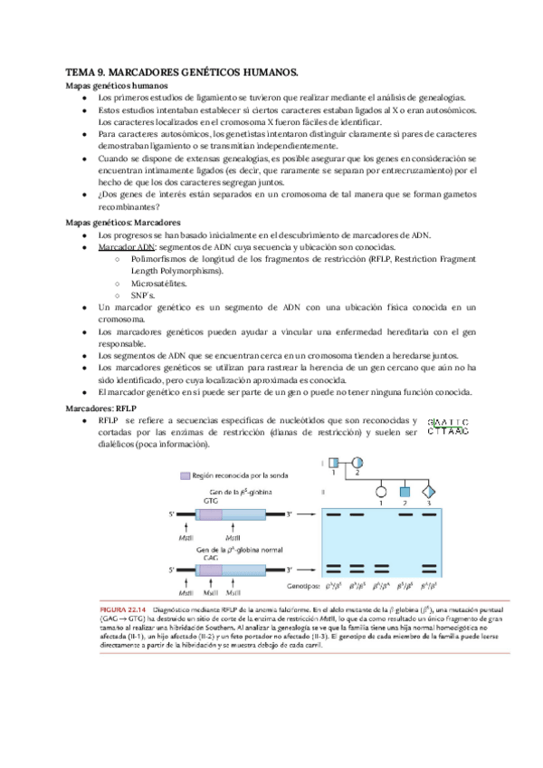 Miniatura del documento 9-MARCADORES-GENETICOS.pdf