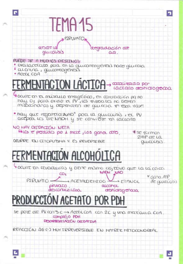 Miniatura del documento RESUMEN-TEMA-15-BIOQUIMICA.pdf