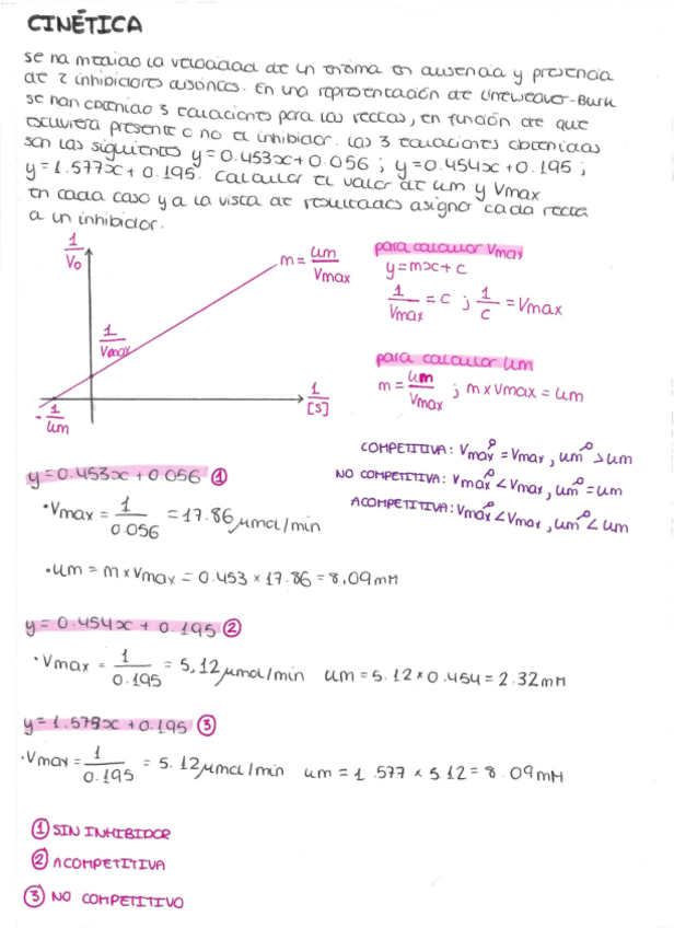 Miniatura del documento EJERCICIO-CINETICA-BIOQUIMICA.pdf