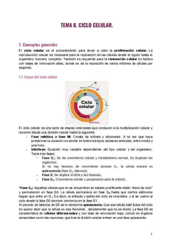Miniatura del documento Tema-8.-Ciclo-celular.-1.pdf