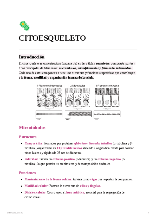 Miniatura del documento CITOESQUELETO.pdf