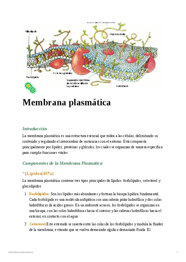 Miniatura del documento Membrana-plasmatica.pdf