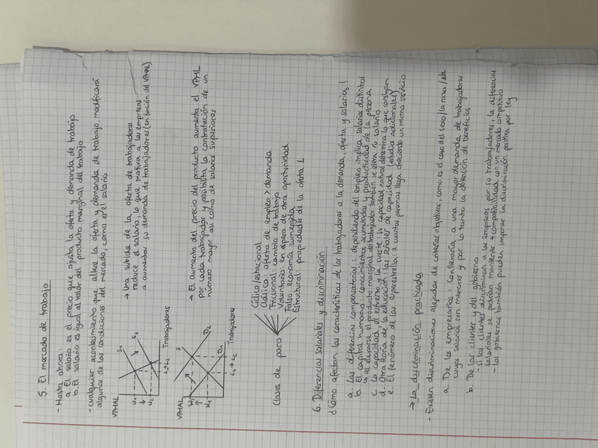 Miniatura del documento IMG2976.jpeg