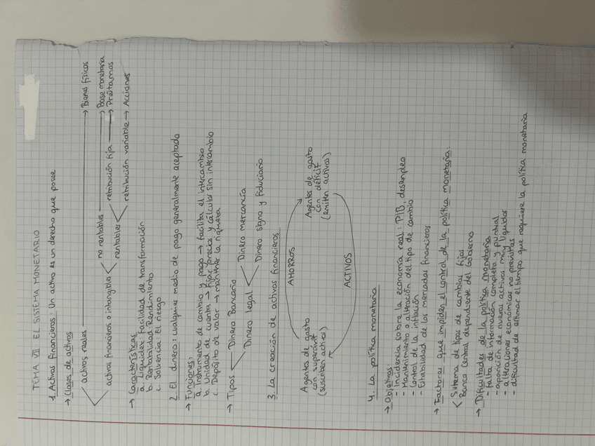 Miniatura del documento IMG2984.jpeg