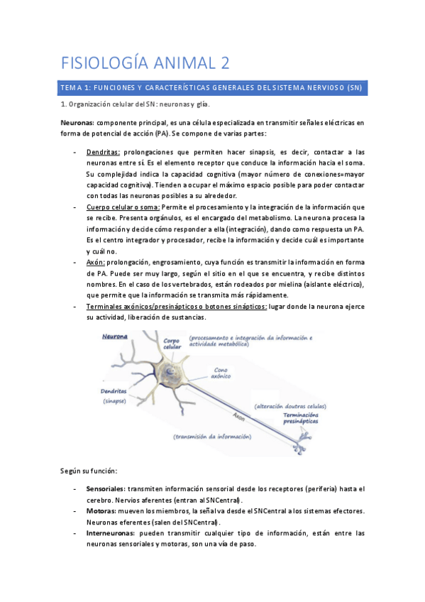 Miniatura del documento bloque-IV.pdf