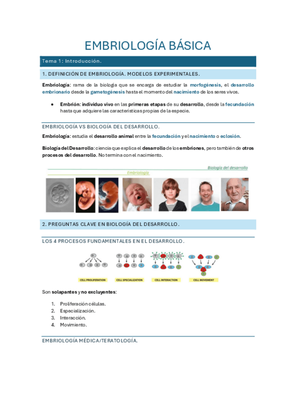 Miniatura del documento Embriologia-Basica-Apuntes-completos.pdf