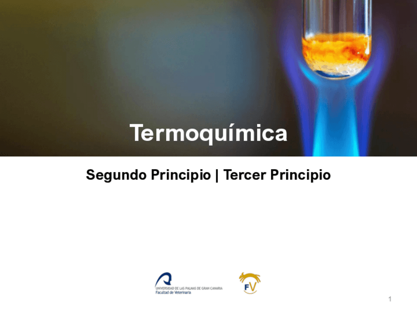 Miniatura del documento 4TermoquimicaSegundo-Tercer-Principios.pdf