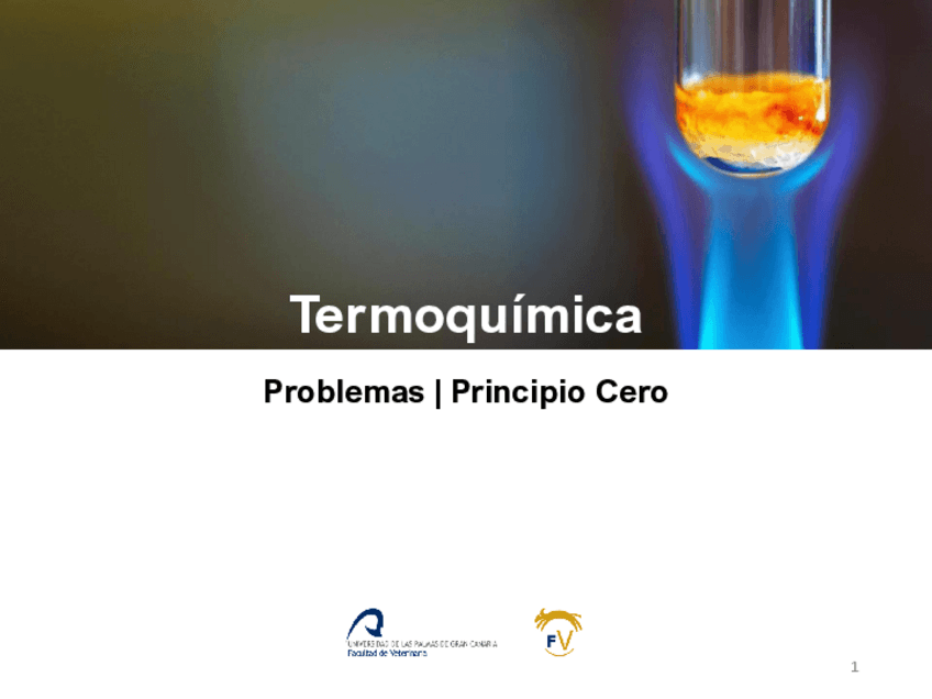 Miniatura del documento 1TermoquimicaProblemas-Principio-Cero-Calor-Especifico-Calor-Latente.pdf