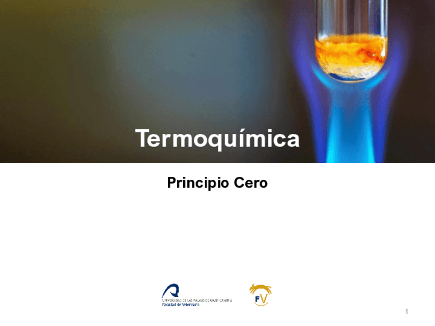 Miniatura del documento 1TermoquimicaPrincipio-Cero.pdf