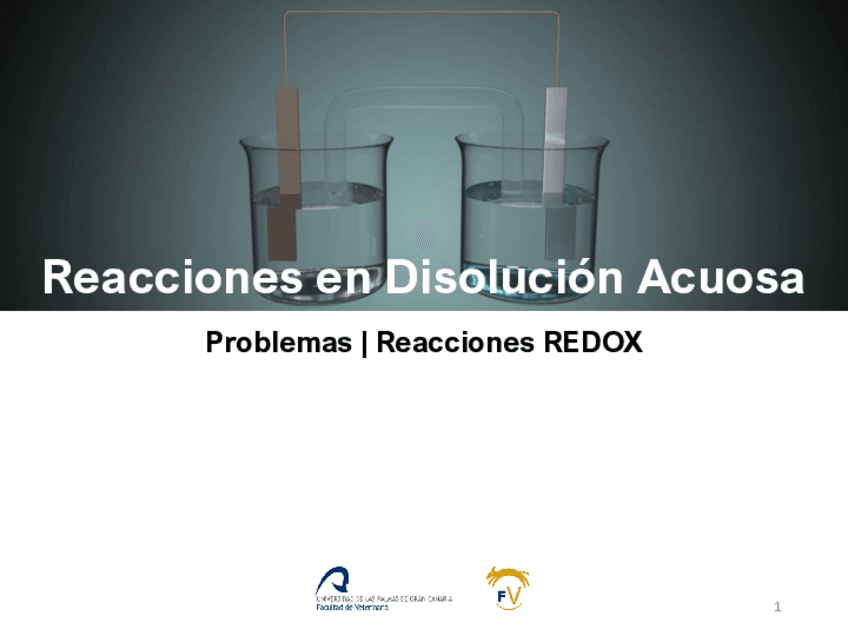 Miniatura del documento Q15bReacciones-REDOXProblemas.pdf