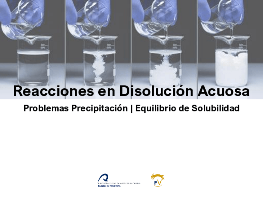 Miniatura del documento Q14bPrecipitacion-y-Equilibrios-de-Solubilidad.pdf