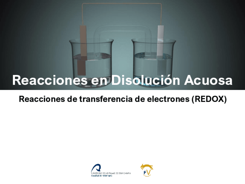 Miniatura del documento Q15Reacciones-REDOX.pdf